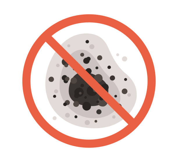 Trusted Monroeville, AL Mold Removal Experts