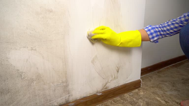 Best Mold Prevention Services  in Monroeville, AL