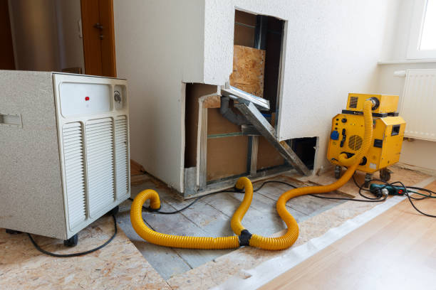 Best Asbestos and Lead Testing During Mold Inspection  in Monroeville, AL